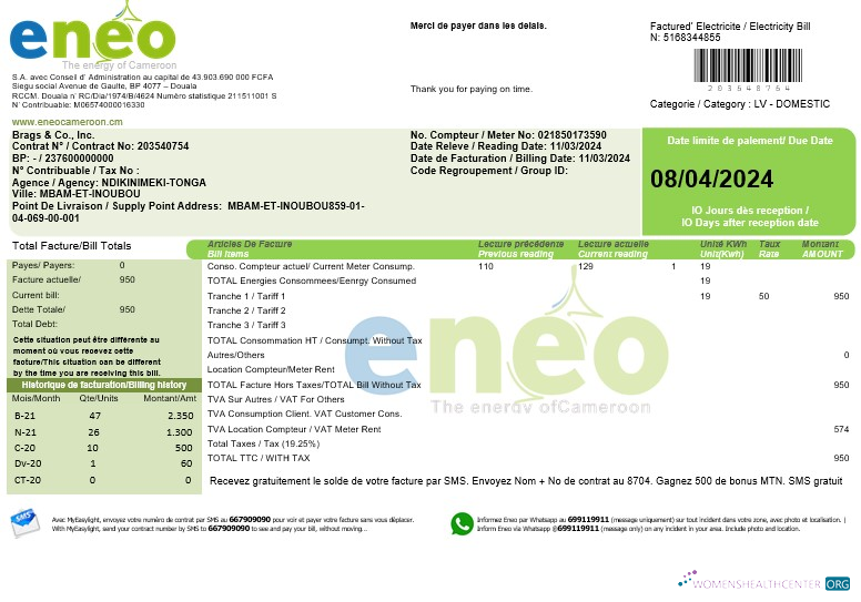 Download Cameroon ENEO electricity business utility bill template in Word Photoshop template